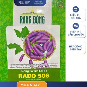 GÓI 0.2 GRAM – HẠT GIỐNG CÀ TÍM LAI F1 RADO 506 RẠNG ĐÔNG