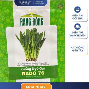 GÓI 5 GRAM - HẠT GIỐNG NGÒ GAI RADO 76 RẠNG ĐÔNG