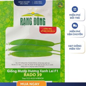GÓI 1 GRAM – HẠT GIỐNG MƯỚP HƯƠNG XANH LAI F1 39 RẠNG ĐÔNG