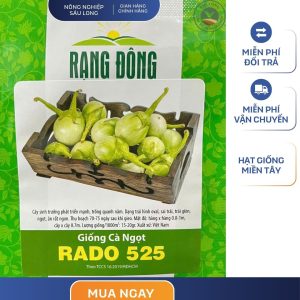 GÓI 0.5 GRAM – HẠT GIỐNG CÀ NGỌT RADO 525 RẠNG ĐÔNG