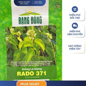 GÓI 1 GRAM - HẠT GIỐNG LÁ GIANG RADO 371 RẠNG ĐÔNG
