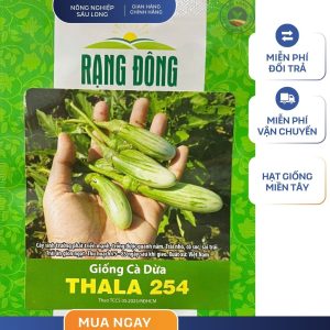 GÓI 0.5 GRAM – HẠT GIỐNG CÀ DỪA THALA 254 RẠNG ĐÔNG