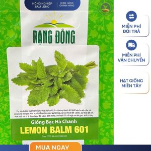 GÓI 1 GRAM – HẠT GIỐNG BẠC HÀ CHANH LEMON BALM 601 RẠNG ĐÔNG