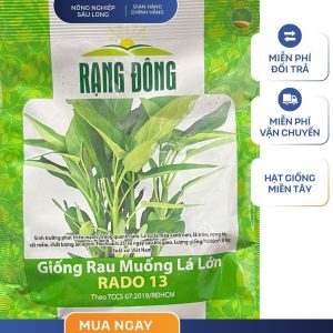 GÓI 50 GRAM - HẠT GIỐNG RAU RAU MUỐNG LÁ LỚN RADO 13 RẠNG ĐÔNG