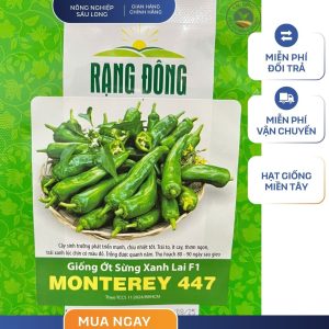 GÓI 0.2 GRAM – HẠT GIỐNG ỚT SỪNG XANH LAI F1 MONTEREY 447 RẠNG ĐÔNG