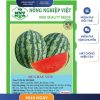 GÓI 2 GRAM - HẠT GIỐNG DƯA HẤU V676 NÔNG NGHIỆP VIỆT - NĂNG SUẤT CAO