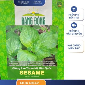 GÓI 0.5 GRAM – HẠT GIỐNG RAU THƠM MÈ HÀN QUỐC SESAME RẠNG ĐÔNG