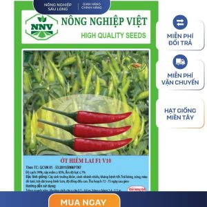 GÓI 0.5 GRAM - HẠT GIỐNG ỚT HIỂM LAI V10 NÔNG NGHIỆP VIỆT - NĂNG SUẤT CAO