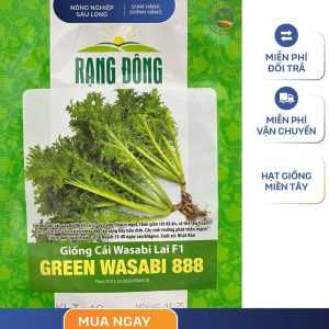 GÓI 1 GRAM - HẠT GIỐNG CẢI WASABI LAI F1 GREEN WASABI 888 RẠNG ĐÔNG