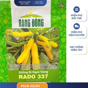 GÓI 1 GRAM – HẠT GIỐNG BÍ NGÒI VÀNG RADO 337 RẠNG ĐÔNG