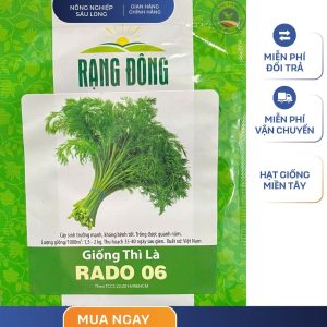 GÓI 5 GRAM - HẠT GIỐNG THÌ LÀ RADO 06 RẠNG ĐÔNG