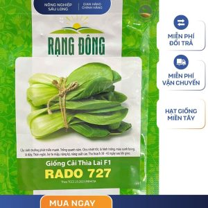 GÓI 5 GRAM - HẠT GIỐNG CẢI THÌA LAI F1 RADO 727 RẠNG ĐÔNG