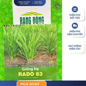 GÓI 1 GRAM - HẠT GIỐNG HẸ LÁ RADO 83 RẠNG ĐÔNG