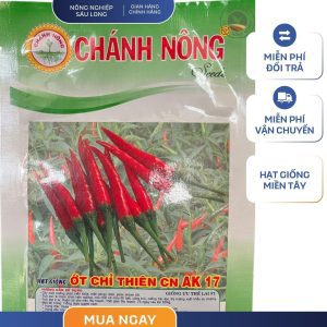 GÓI 1 GRAM - HẠT GIỐNG ỚT CHỈ THIÊN CN AK17 CHÁNH NÔNG- NĂNG SUẤT