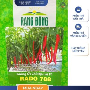 GÓI 0.2 GRAM – HẠT GIỐNG ỚT HIỂM LAI F1 RADO 789 RẠNG ĐÔNG