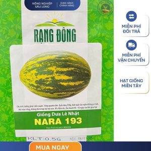GÓI 0.5 GRAM – HẠT GIỐNG DƯA LÊ NHẬT NARA 193 RẠNG ĐÔNG