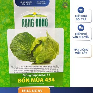 GÓI 0.5 GRAM – HẠT GIỐNG BẮP CẢI LAI F1 BỐN MÙA 454 RẠNG ĐÔNG