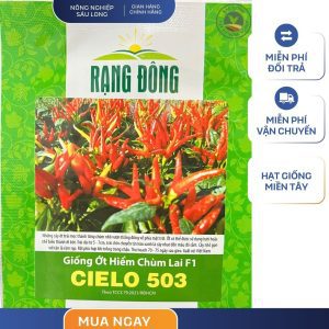 GÓI 0.1 GRAM – HẠT GIỐNG ỚT HIỂM CHÙM LAI F1 CIELO 503 RẠNG ĐÔNG