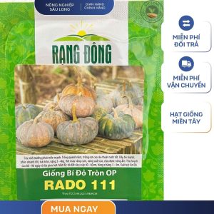 GÓI 5 GRAM - HẠT GIỐNG BÍ ĐỎ TRÒN OP RADO 111 RẠNG ĐÔNG