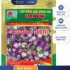 GÓI 1 GRAM - HẠT GIỐNG CÀ PHÁO TÍM CN201 CANH NÔNG