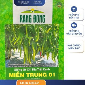 GÓI 0.1 GRAM – HẠT GIỐNG ỚT CHỈ ĐỊA TRÁI XANH MIỀN TRUNG 01 RẠNG ĐÔNG