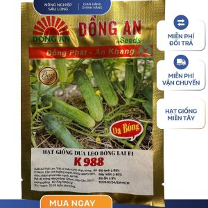 HẠT GIỐNG DƯA LEO F1 K988 GÓI 20 HẠT - HIỆU ĐỒNG AN
