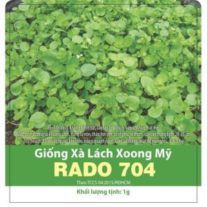 GÓI 1 GRAM – HẠT GIỐNG XÀ LÁCH XOONG RADO 704 RẠNG ĐÔNG