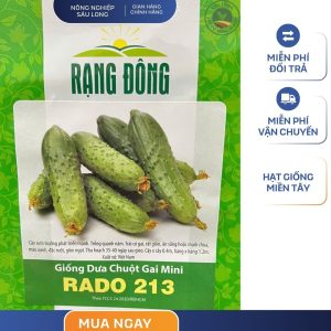 GÓI 1 GRAM – HẠT GIỐNG DƯA CHUỘT GAI MINI RADO 213 RẠNG ĐÔNG