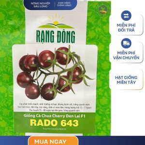 GÓI 0.1 GRAM – HẠT GIỐNG CÀ CHUA CHERY ĐEN LAI F1 RADO 643 RẠNG ĐÔNG