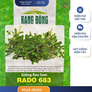 GÓI 1 GRAM - HẠT GIỐNG RAU SAM RADO 683 RẠNG ĐÔNG