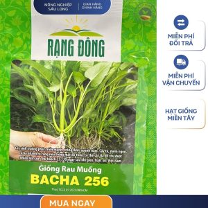 GÓI 20 GRAM - HẠT GIỐNG RAU MUỐNG BACHA 256 RẠNG ĐÔNG