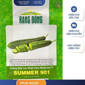 GÓI 0.5 GRAM – HẠT GIỐNG DƯA LEO NHẬT CHỊU NHIỆT SUMMER 901 RẠNG ĐÔNG