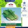 GÓI 20 GRAM - HẠT GIỐNG CẢI NGỌT CHAMPION HAI MŨI TÊN ĐỎ - LÁ BÓNG MƯỢT