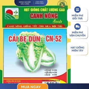 GÓI 10 GRAM - HẠT GIỐNG CẢI BẸ DÚN CN52 CANH NÔNG