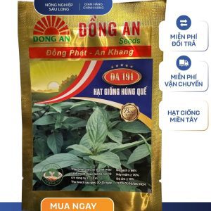 HẠT GIỐNG HÚNG QUẾ LÁ LỚN ĐA 191 ĐỒNG AN - GÓI 5 GRAM