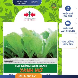 GÓI 40 GRAM - HẠT GIỐNG CẢI BẸ XANH MỠ HAI MŨI TÊN ĐỎ - NĂNG SUẤT CAO