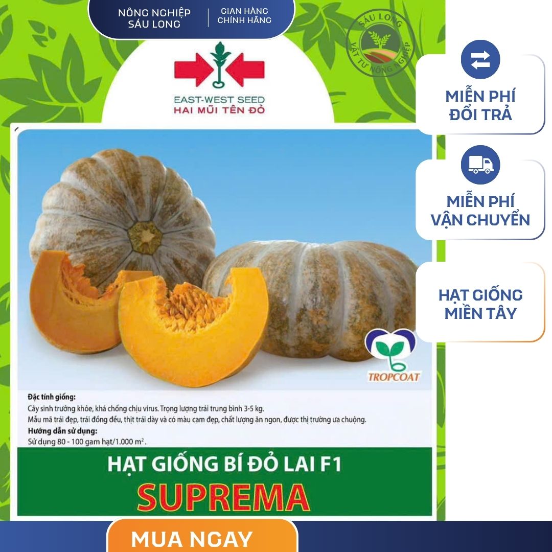 GÓI 8 HẠT - HẠT GIỐNG BÍ ĐỎ SUPREMA HAI MŨI TÊN ĐỎ - NĂNG SUẤT CAO