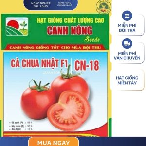 GÓI 0.1 GRAM - CÀ CHUA NHẬT F1 CN18 CANH NÔNG