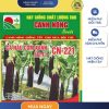 GÓI 1 GRAM - CÀ NÂU CƠM XANH CN221 CANH NÔNG