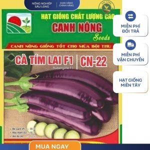 GÓI 1 GRAM - CÀ TÍM LAI F1 CN22 CANH NÔNG