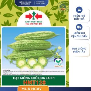 GÓI 6 HẠT - HẠT GIỐNG KHỔ QUA LAI F1 HMT128 HAI MŨI TÊN ĐỎ - NĂNG SUẤT CAO