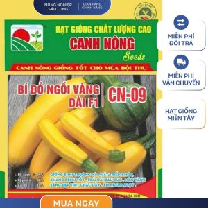 GÓI 10 HẠT - HẠT GIỐNG BÍ ĐỎ NGỒI VÀNG LAI F1 CN09 CANH NÔNG - NĂNG SUẤT CAO