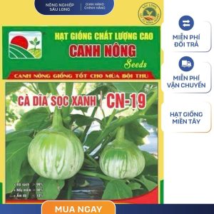 GÓI 1 GRAM - CÀ XANH DĨA SỌC XANH CN19 CANH NÔNG