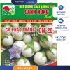 GÓI 1 GRAM - CÀ PHÁO TRẮNG CN20 CANH NÔNG