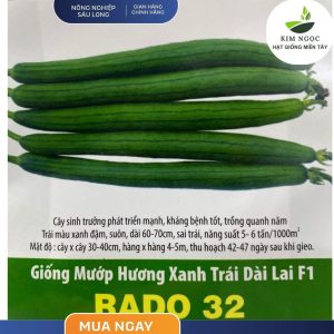 Hạt Giống Mướp Hương Xanh Trái Dài (RADO32) 1gr