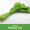 GÓI 20 GRAM - HẠT GIỐNG CẢI NGỌT RADO 54 RẠNG ĐÔNG