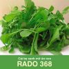 GÓI 20 GRAM – HẠT GIỐNG CẢI XANH ĂN NON RADO 368 RẠNG ĐÔNG