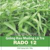 GÓI 50 GRAM - HẠT GIỐNG RAU MUỐNG LÁ TRE RADO 12 RẠNG ĐÔNG