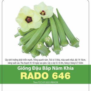 GÓI 20 GRAM - HẠT GIỐNG ĐẬU BẮP NĂM KHÍA RADO 646 RẠNG ĐÔNG