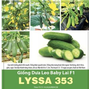 GÓI 5 HẠT - HẠT GIỐNG DƯA LEO BABY LAI F1 LYSSA 353 RẠNG ĐÔNG